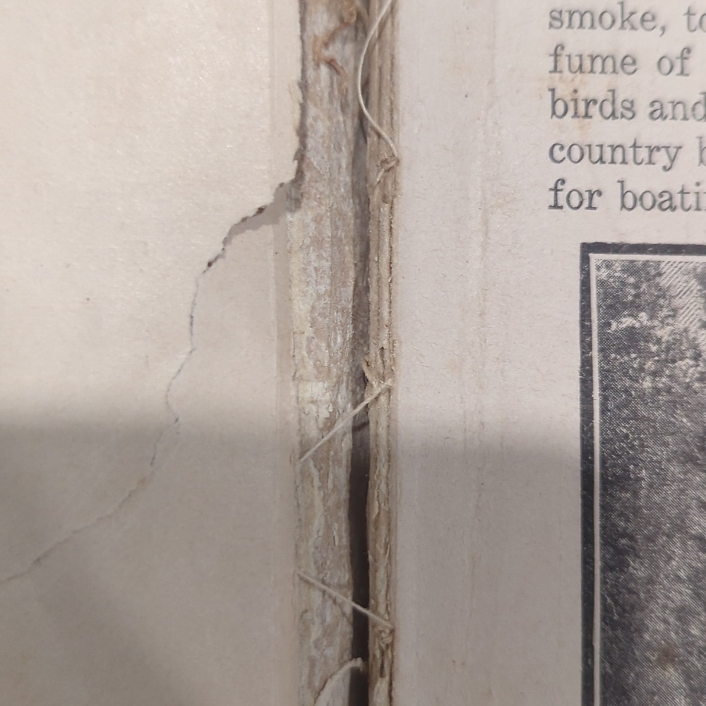 Early 1900's Geography Textbook - Picture 5 of 13